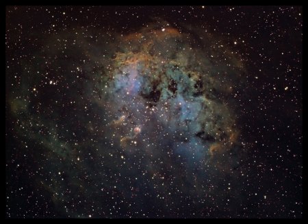 IC 410  NGC 1893